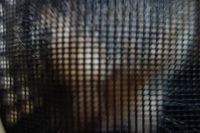 f:id:hiraryo0201:20161020095834j:plain f:id:hiraryo0201:20161020095834j:plain