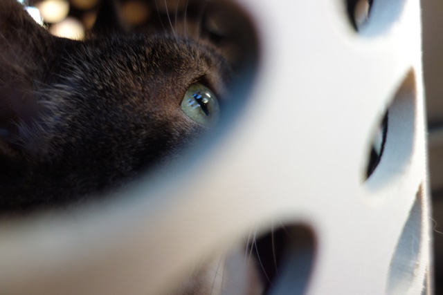 f:id:hiraryo0201:20161020095851j:plain f:id:hiraryo0201:20161020095851j:plain