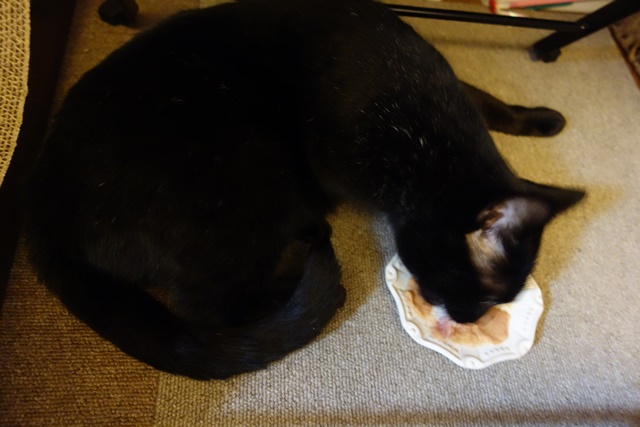 f:id:hiraryo0201:20161020095941j:plain f:id:hiraryo0201:20161020095941j:plain