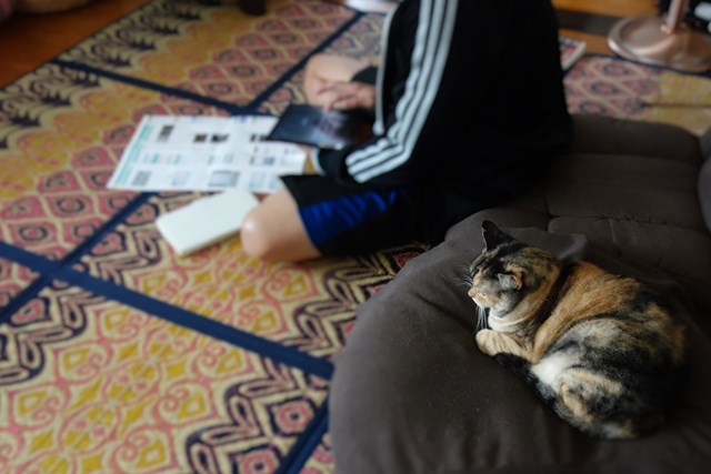 f:id:hiraryo0201:20161022124913j:plain f:id:hiraryo0201:20161022124913j:plain