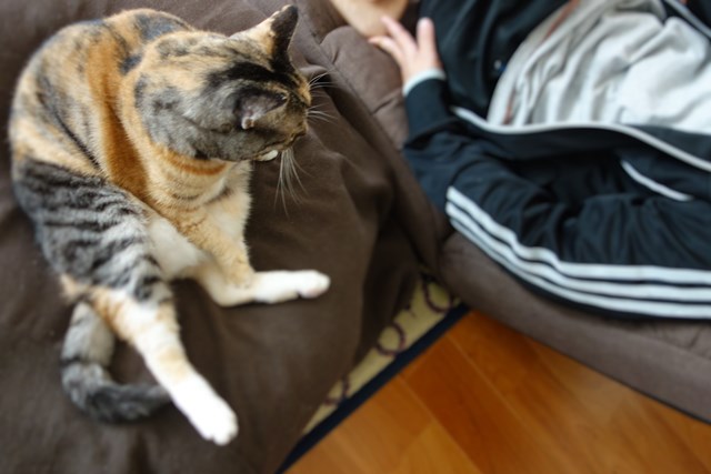 f:id:hiraryo0201:20161022125137j:plain f:id:hiraryo0201:20161022125137j:plain