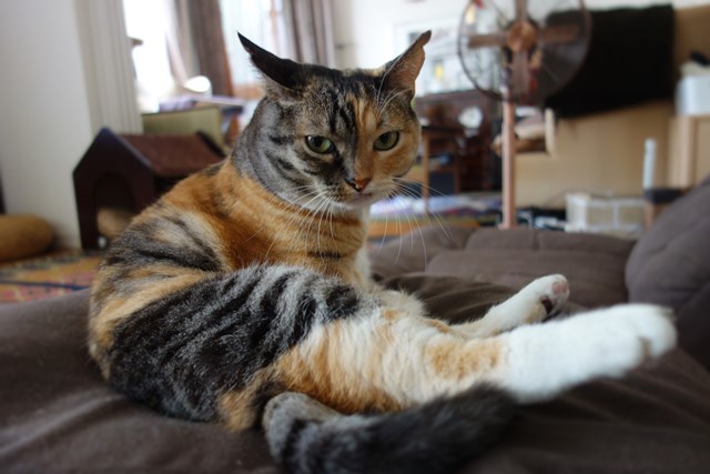 f:id:hiraryo0201:20161022125204j:plain f:id:hiraryo0201:20161022125204j:plain