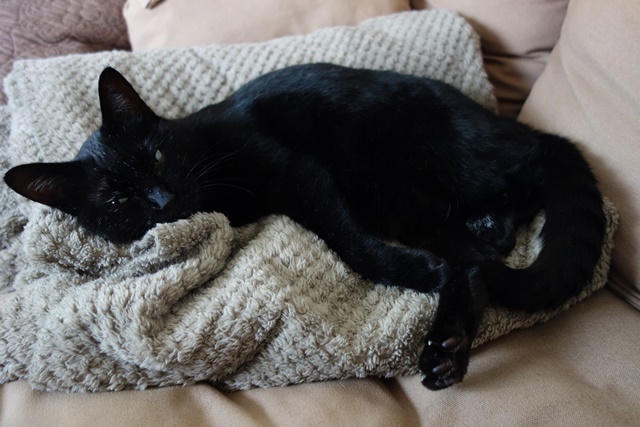 f:id:hiraryo0201:20161022125314j:plain f:id:hiraryo0201:20161022125314j:plain