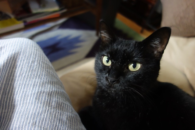 f:id:hiraryo0201:20161024085343j:plain f:id:hiraryo0201:20161024085343j:plain