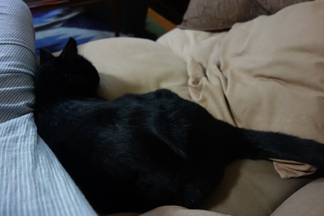 f:id:hiraryo0201:20161024085357j:plain f:id:hiraryo0201:20161024085357j:plain