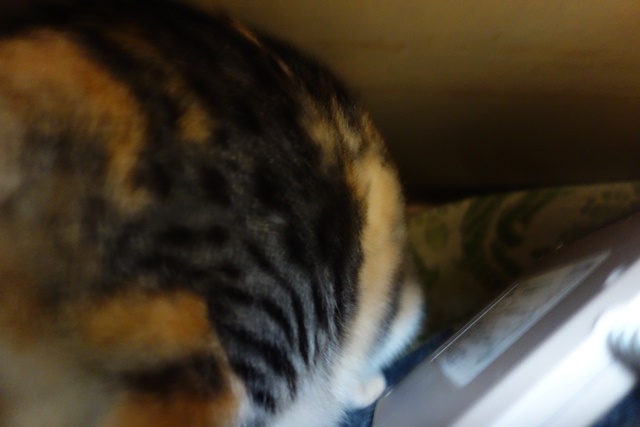 f:id:hiraryo0201:20161024085412j:plain f:id:hiraryo0201:20161024085412j:plain