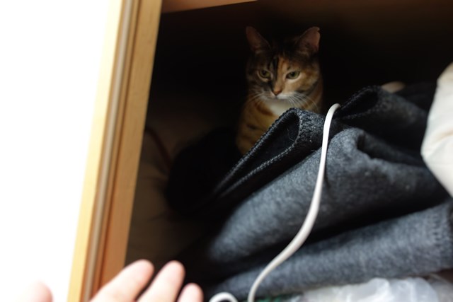 f:id:hiraryo0201:20161024085434j:plain f:id:hiraryo0201:20161024085434j:plain