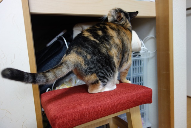 f:id:hiraryo0201:20161024085533j:plain f:id:hiraryo0201:20161024085533j:plain