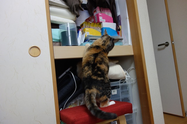 f:id:hiraryo0201:20161024085545j:plain f:id:hiraryo0201:20161024085545j:plain