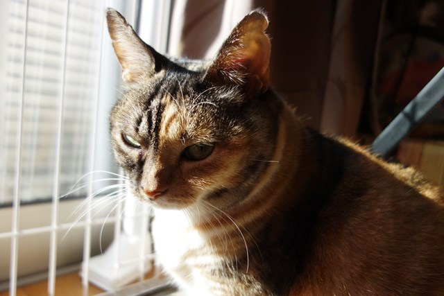 f:id:hiraryo0201:20161026125149j:plain f:id:hiraryo0201:20161026125149j:plain