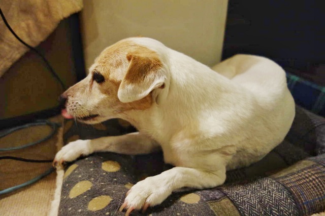 f:id:hiraryo0201:20161027091330j:plain f:id:hiraryo0201:20161027091330j:plain