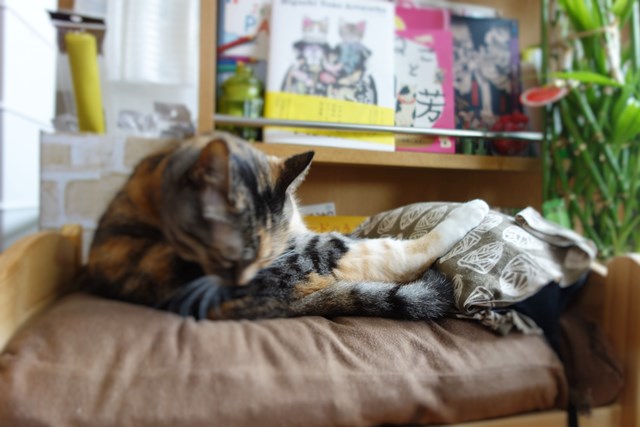 f:id:hiraryo0201:20161028094743j:plain