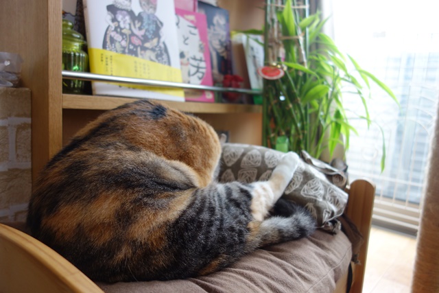 f:id:hiraryo0201:20161028094748j:plain