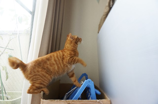 f:id:hiraryo0201:20161030092243j:plain f:id:hiraryo0201:20161030092243j:plain