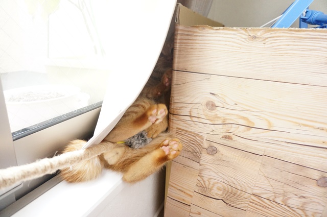 f:id:hiraryo0201:20161030092855j:plain f:id:hiraryo0201:20161030092855j:plain