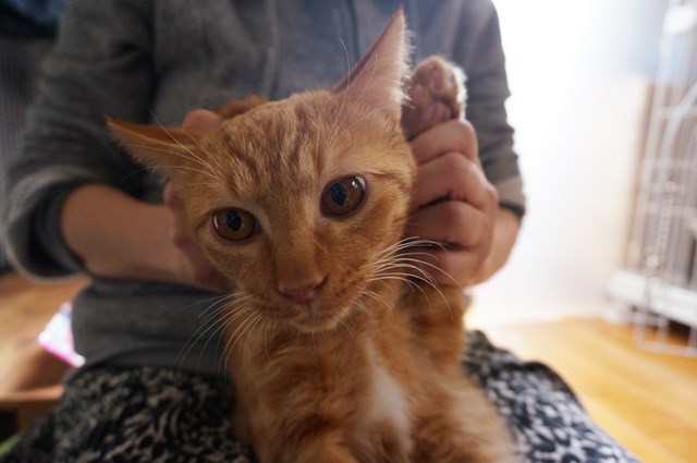 f:id:hiraryo0201:20161102105530j:plain f:id:hiraryo0201:20161102105530j:plain