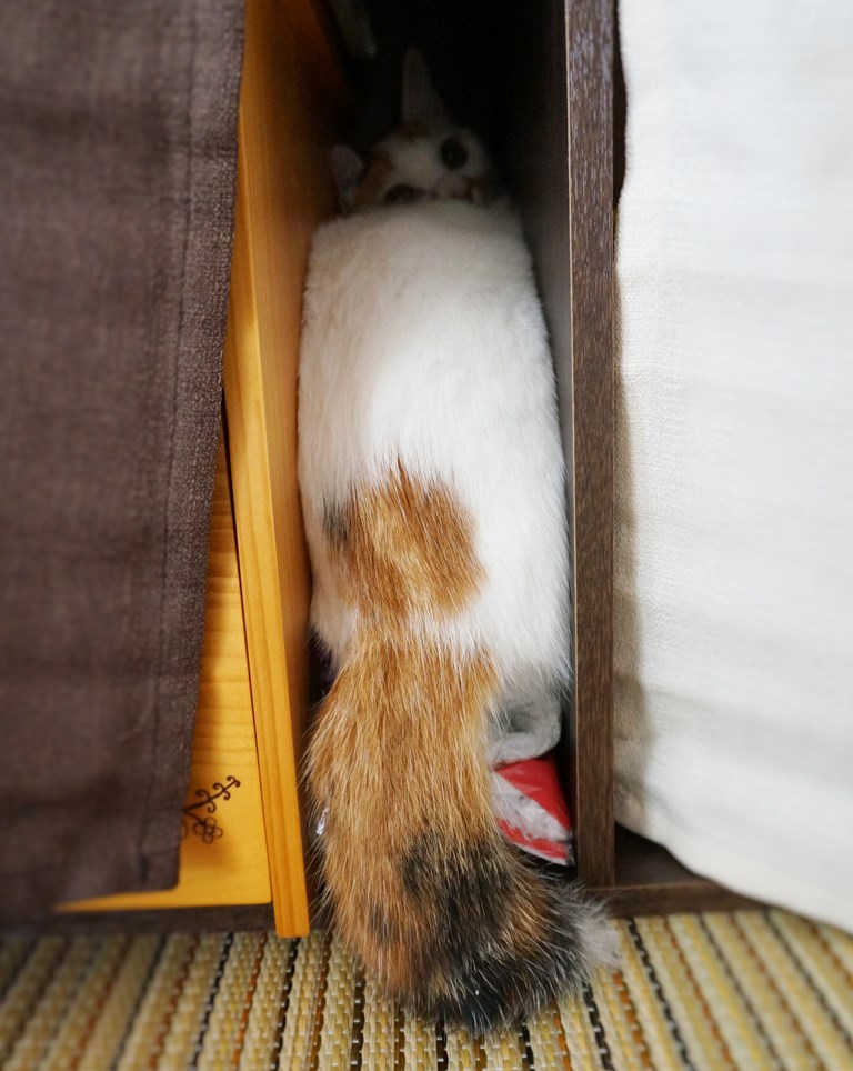 f:id:hiraryo0201:20161105233944j:plain