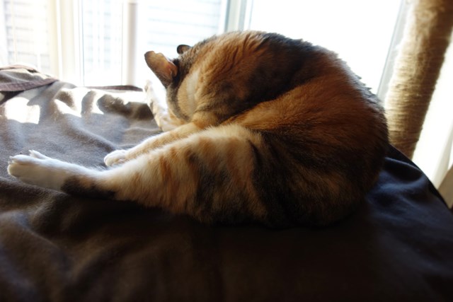 f:id:hiraryo0201:20161106113301j:plain