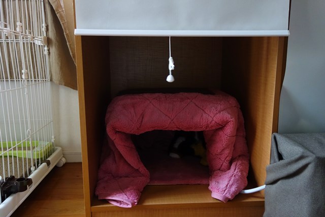 f:id:hiraryo0201:20161107123343j:plain f:id:hiraryo0201:20161107123343j:plain