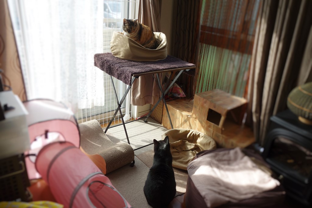 f:id:hiraryo0201:20161110101922j:plain f:id:hiraryo0201:20161110101922j:plain