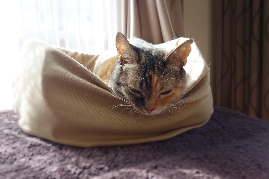 f:id:hiraryo0201:20161110101935j:plain f:id:hiraryo0201:20161110101935j:plain