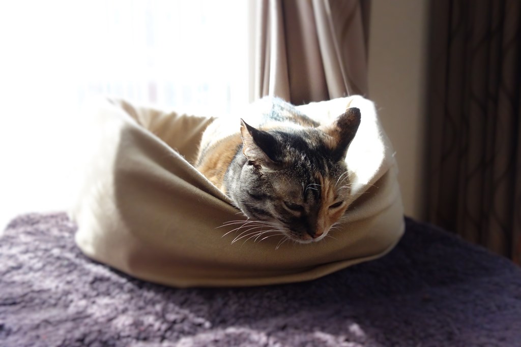 f:id:hiraryo0201:20161110101939j:plain f:id:hiraryo0201:20161110101939j:plain