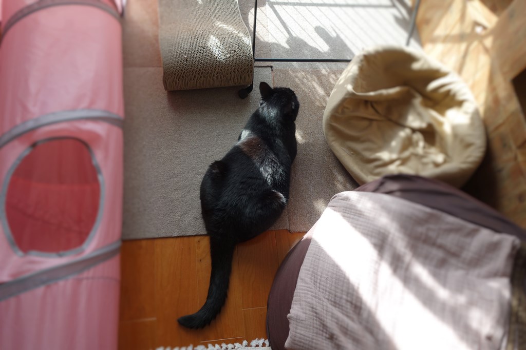 f:id:hiraryo0201:20161110101945j:plain f:id:hiraryo0201:20161110101945j:plain