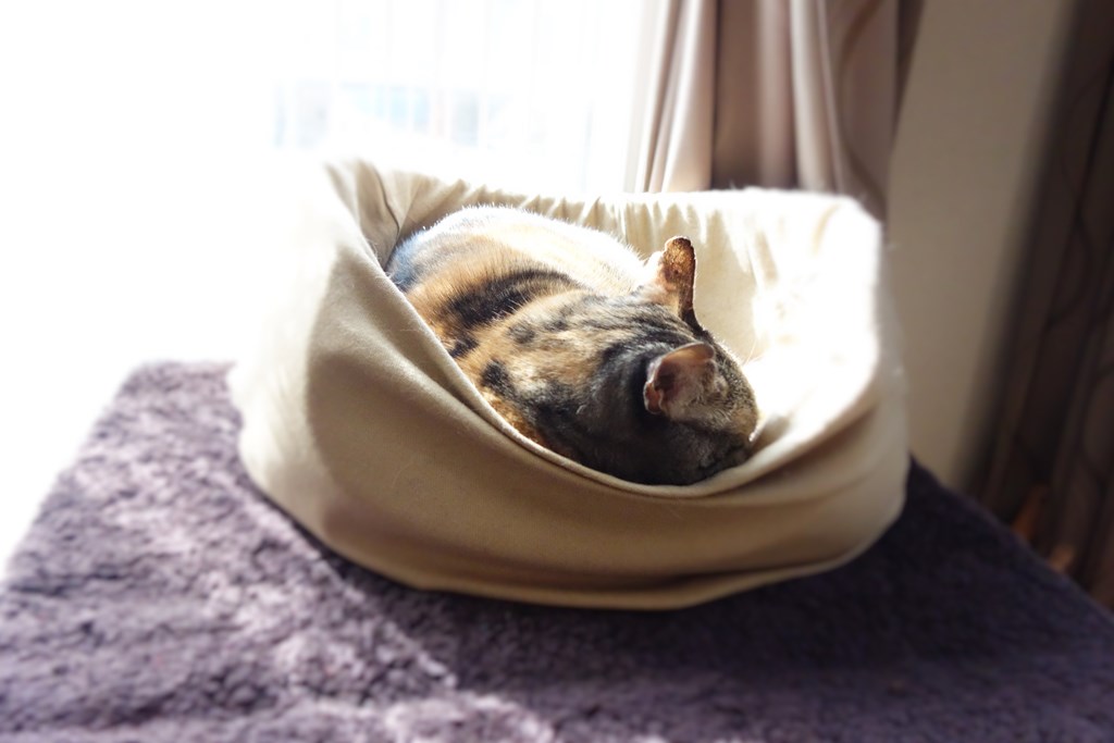 f:id:hiraryo0201:20161110101955j:plain f:id:hiraryo0201:20161110101955j:plain