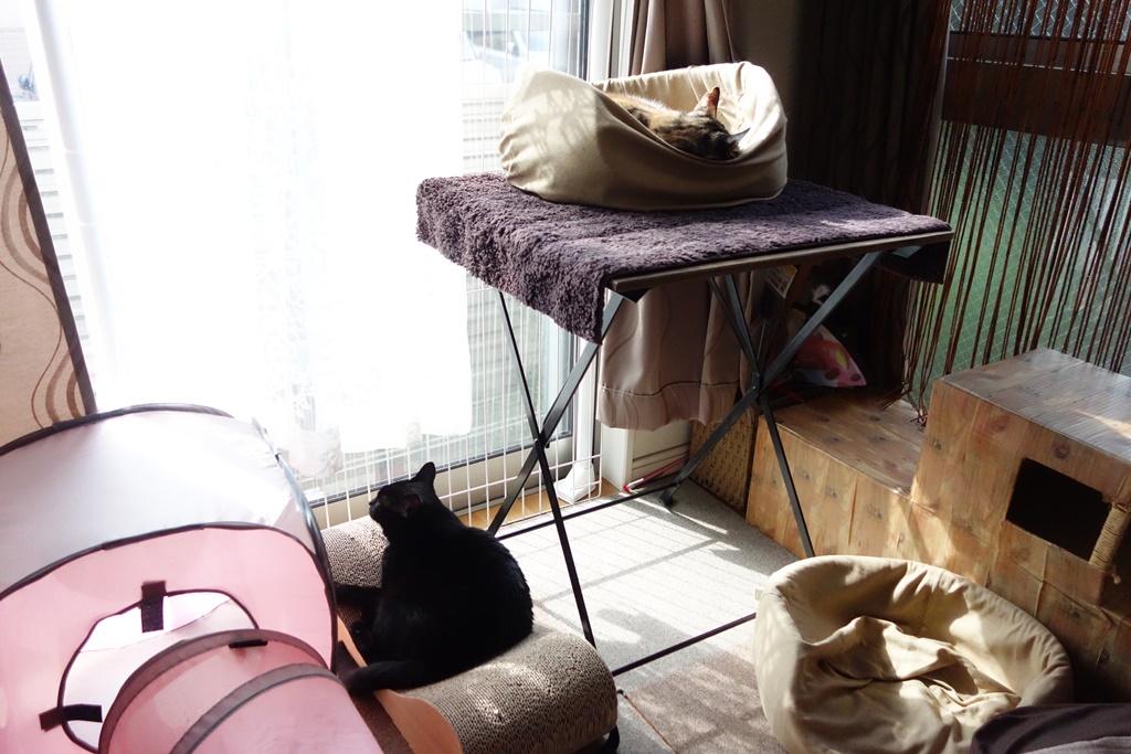 f:id:hiraryo0201:20161110102012j:plain f:id:hiraryo0201:20161110102012j:plain