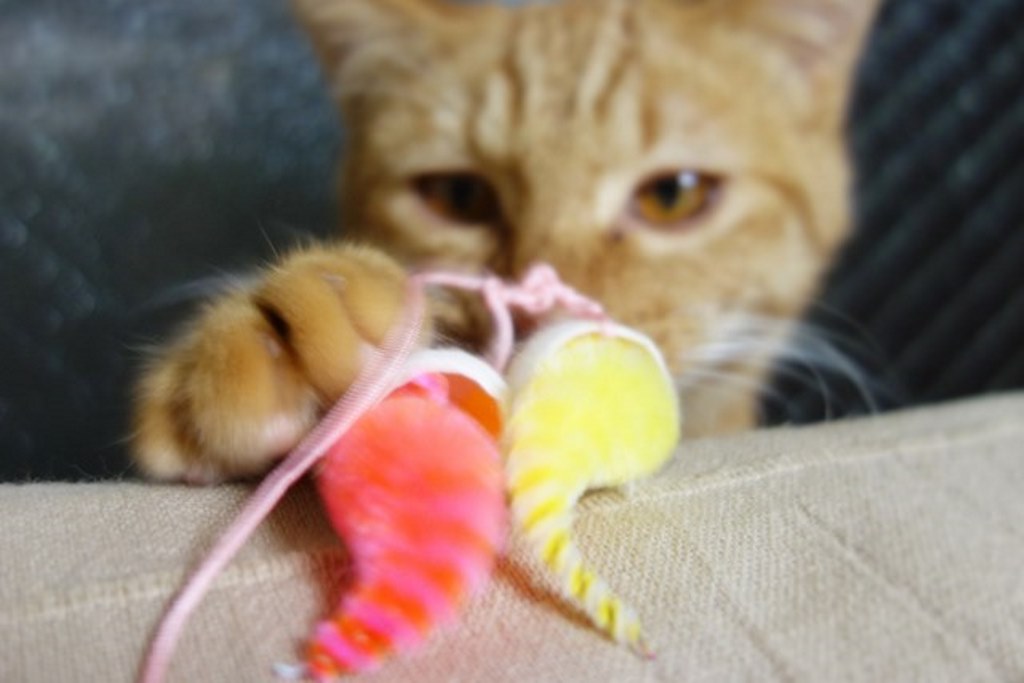 f:id:hiraryo0201:20161110221242j:plain f:id:hiraryo0201:20161110221242j:plain