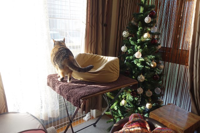 f:id:hiraryo0201:20161113100300j:plain