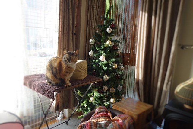 f:id:hiraryo0201:20161113100322j:plain