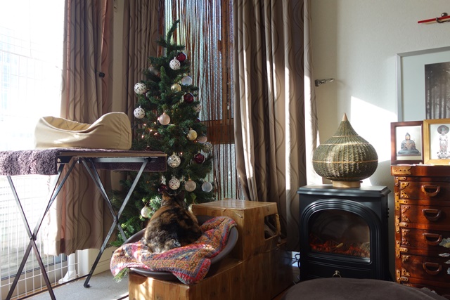 f:id:hiraryo0201:20161113100518j:plain