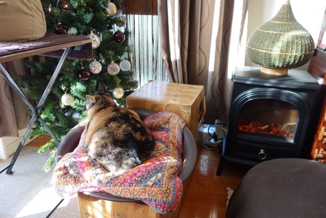 f:id:hiraryo0201:20161113100531j:plain