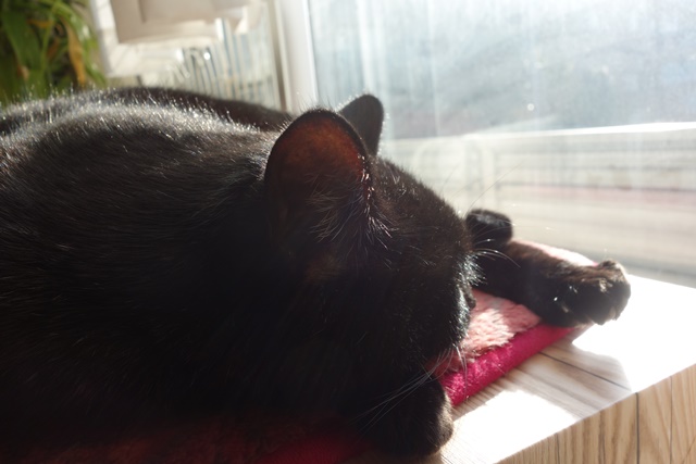 f:id:hiraryo0201:20161113100551j:plain