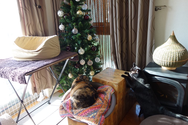 f:id:hiraryo0201:20161113100848j:plain