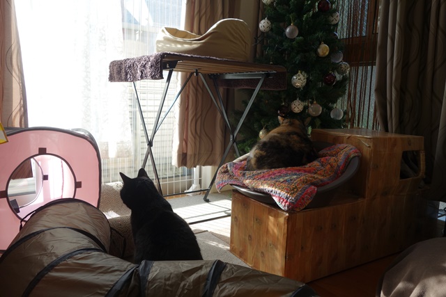 f:id:hiraryo0201:20161113100914j:plain