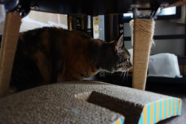 f:id:hiraryo0201:20161116093620j:plain