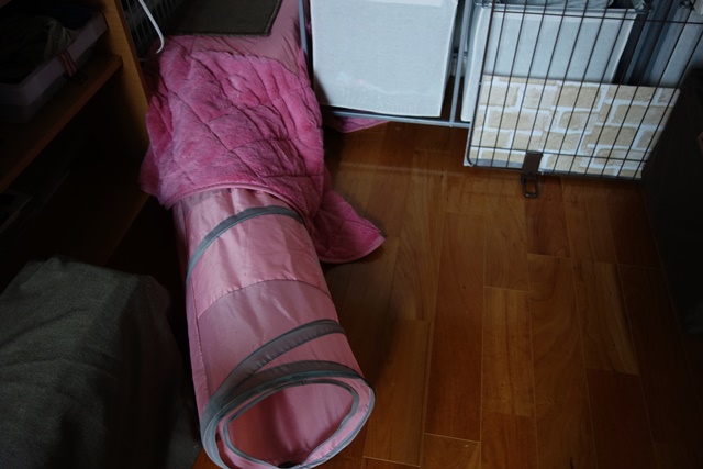 f:id:hiraryo0201:20161116093741j:plain f:id:hiraryo0201:20161116093741j:plain