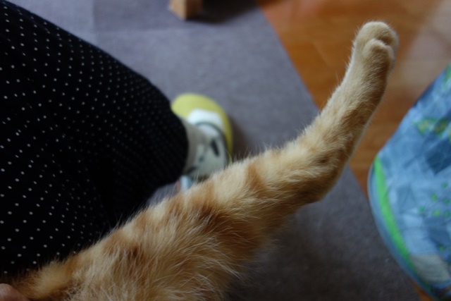 f:id:hiraryo0201:20161118221906j:plain