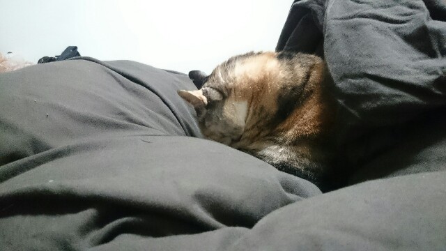 f:id:hiraryo0201:20161126164723j:image f:id:hiraryo0201:20161126164723j:image