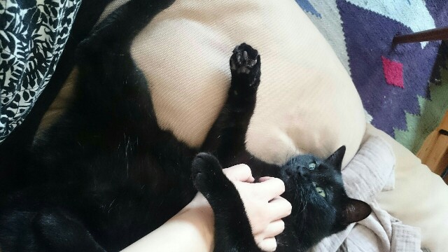 f:id:hiraryo0201:20161127201913j:image f:id:hiraryo0201:20161127201913j:image