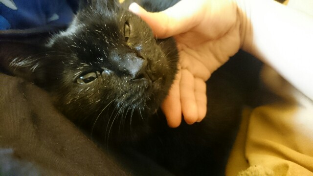 f:id:hiraryo0201:20161127201955j:image f:id:hiraryo0201:20161127201955j:image