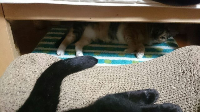 f:id:hiraryo0201:20161127202127j:image f:id:hiraryo0201:20161127202127j:image