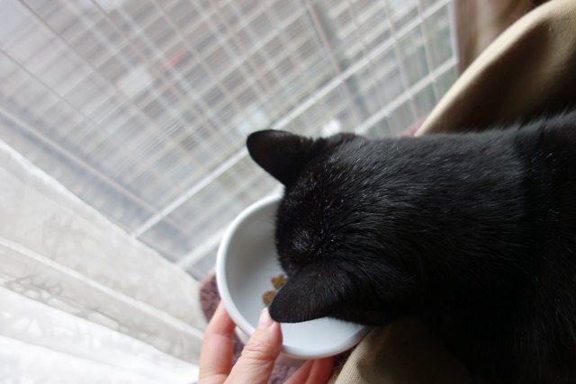 f:id:hiraryo0201:20161128082420j:plain f:id:hiraryo0201:20161128082420j:plain