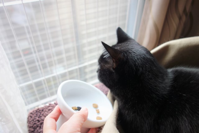 f:id:hiraryo0201:20161128082433j:plain