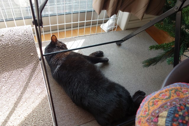 f:id:hiraryo0201:20161202081542j:plain f:id:hiraryo0201:20161202081542j:plain