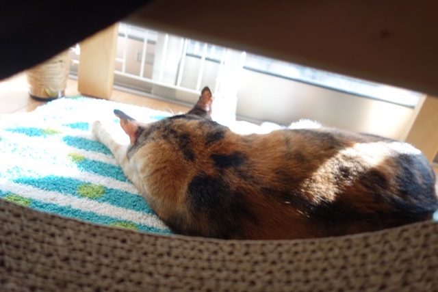 f:id:hiraryo0201:20161202081557j:plain f:id:hiraryo0201:20161202081557j:plain