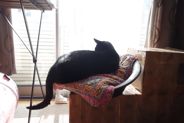 f:id:hiraryo0201:20161204085116j:plain f:id:hiraryo0201:20161204085116j:plain