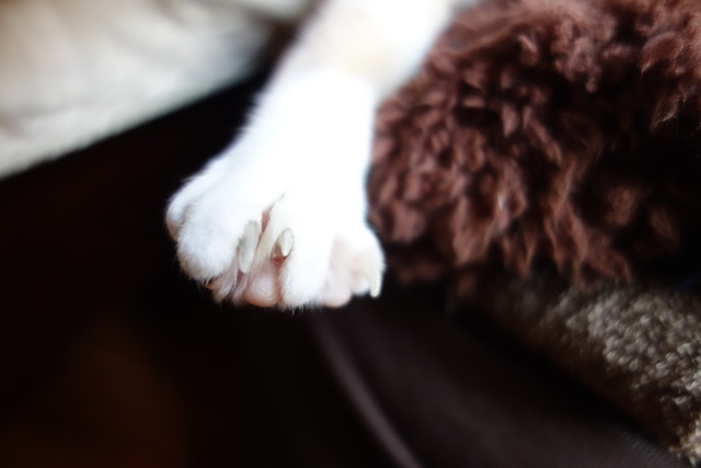 f:id:hiraryo0201:20161205095233j:plain f:id:hiraryo0201:20161205095233j:plain